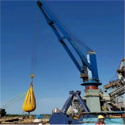 30t 30m Electric Grab Crane